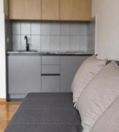 Cozy Studio Apartment At Center Of Биелина Екстериор снимка